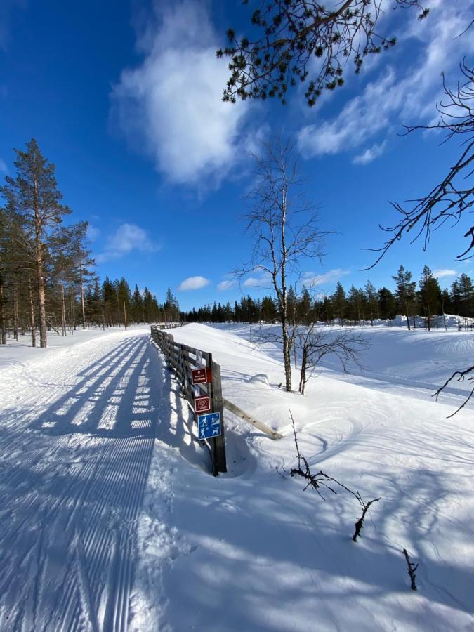 Villa Haukka Сааріселькя Екстер'єр фото
