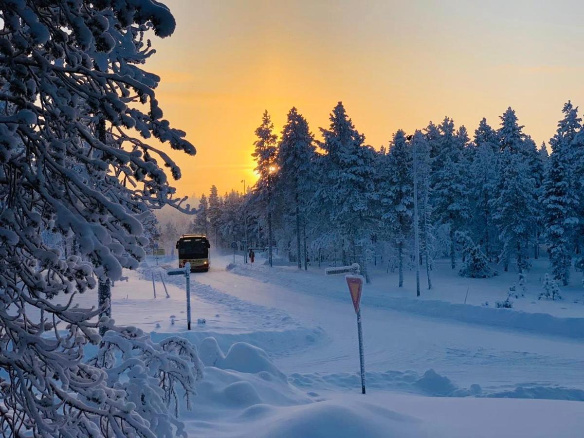 Villa Haukka Сааріселькя Екстер'єр фото