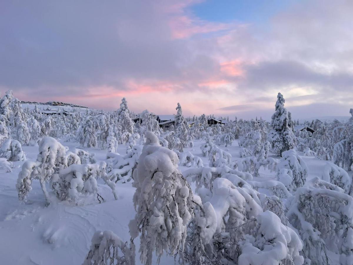 Villa Haukka Сааріселькя Екстер'єр фото